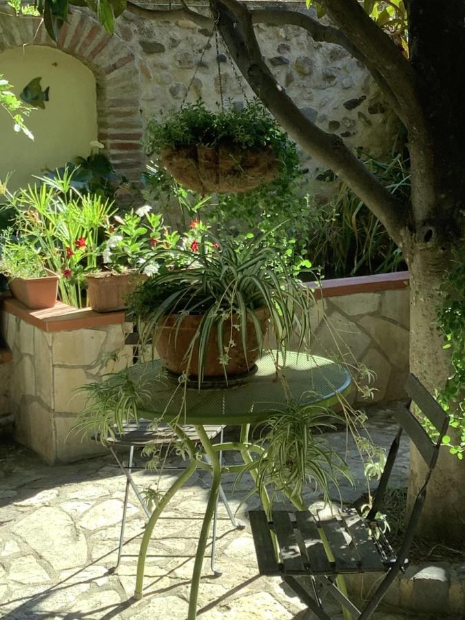 Villa Mas Grandiflora Espira-de-l'Agly Exterior foto